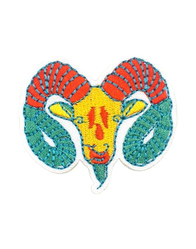 Uijokdef Uijokdef 1 Stück dekorative Sternbild-Aufnäher zum Aufbügeln, bestickte Aufnäher, DIY-Nähzubehör, Sternzeichen-Design-Set (Steinbock) von Uijokdef