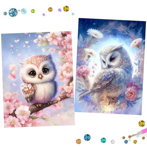 Uirheurd Diamond Painting Eule DIY 5D Diamond Painting Erwachsene Kinder, Diamant Painting Bilder 2 Stück Diamond Painting Tiere Voller Runder Diamant Home Wand Décor Crystal Art Craft Kits 25x35cm von Uirheurd