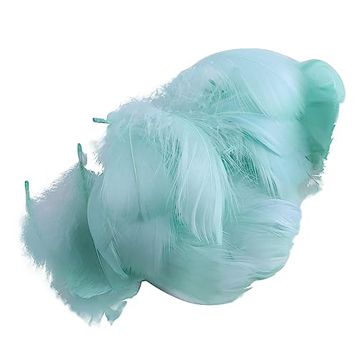 100 Stück bunte Feder-transparente Bobo-Luftballons gefüllte Luftballons für Geburtstag, Hochzeit, Dekoration 100 Stück bunte Feder-transparente Bobo-Luftballons gefüllte Luftballons für Geburtstag, Hochzeit, Dekoration von Uitndvyte