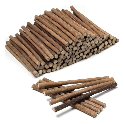 Ujjdwiurgh 120 St¨¹ck 6-Zweigst?be Holzst?mme zum Basteln, Zur Dekoration, DIY-, Foto-Requisiten von Ujjdwiurgh