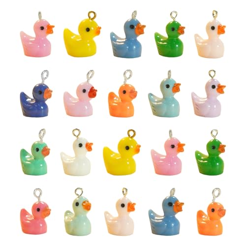 100pcs Harz Mini Ornament Enten Vögel Schlamm Charms gemischt Set Handwerk Zubehör DIY Miniatur Szene Layout Mikro Home Dekoration von Ulalaza