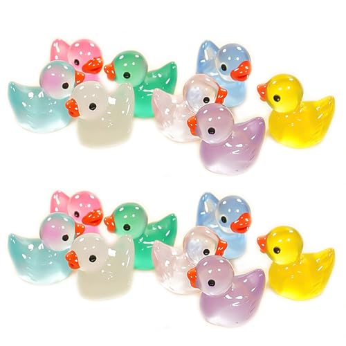 50pcs Harz Mini Ornament Enten Vögel Schlamm Charms gemischt Set Handwerk Zubehör DIY Miniatur Szene Layout Mikro Home Dekoration von Ulalaza