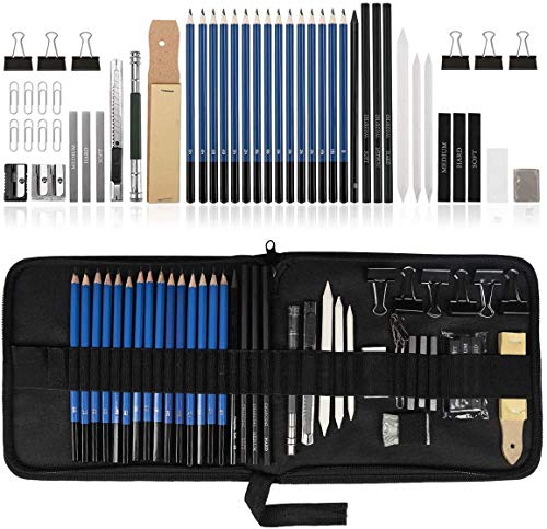 UlifeME Skizzierstifte Set Bleistifte, Zeichenstifte für Skizzieren und Zeichnen, Zeichnungen Stifte für Anfänger, Künstler und Profi Art mit Graphitkohlestifte Sticks Werkzeuge und Kit Bag - 50 Stück von Ulifeme