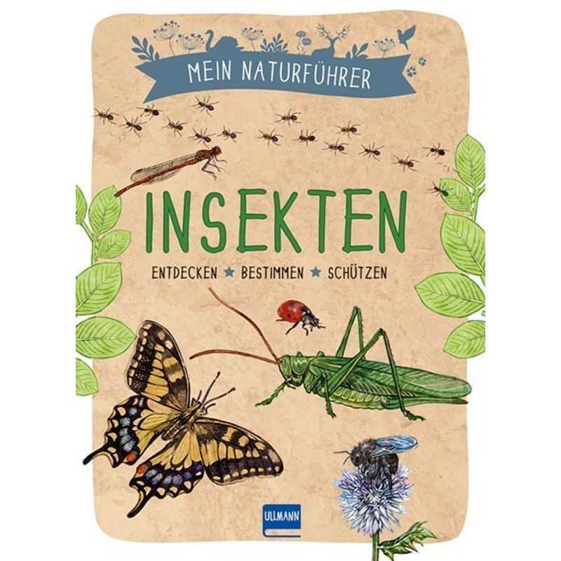Mein Naturführer - Insekten - Xavier Japiot, Kartoniert (TB) von Ullmann Medien