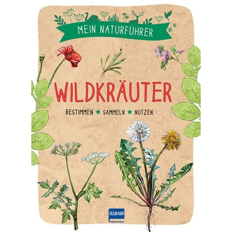 Mein Naturführer / Mein Naturführer - Wildkräuter - Francois Couplan, Kartoniert (TB) von Ullmann Medien