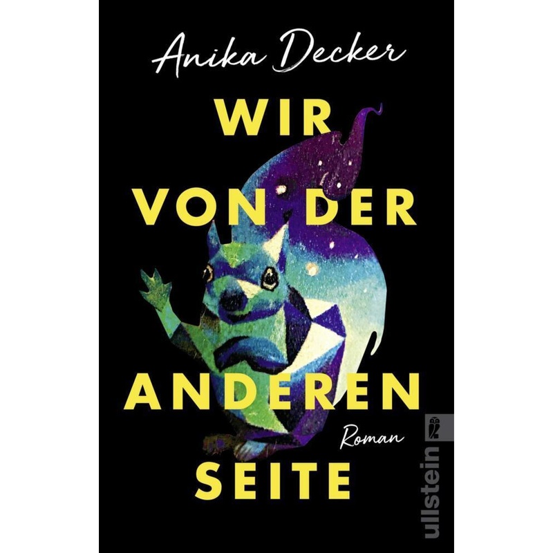Wir Von Der Anderen Seite - Anika Decker, Taschenbuch von Ullstein TB