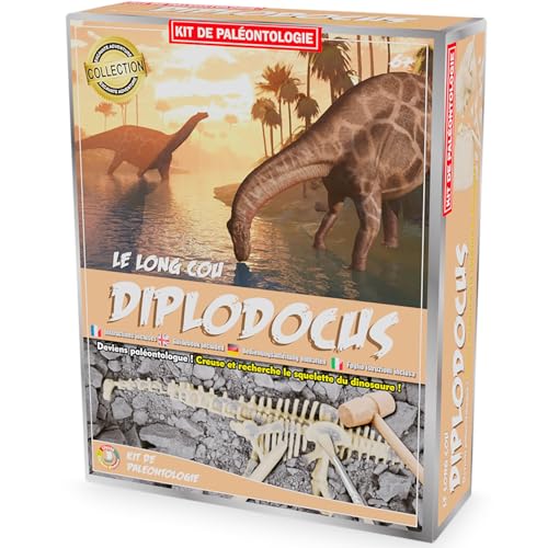 Ulysse - Paläo-Kit: Diplodocus Archäologie und Paläontologie, mehrfarbig (2824) von Ulysse