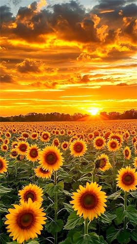 5D Diamond Painting Kit,Sonnenuntergang Sonnenblumenfeld Diamant Painting Bilder Kit für Erwachsene,DIY Square Full Drill Strass Stickerei Leinwand Painting Malen nach Zahlen Set Home Décor 30x70cm 5D Diamond Painting Kit,Sonnenuntergang Sonnenblumenfeld Diamant Painting Bilder Kit für Erwachsene,DIY Square Full Drill Strass Stickerei Leinwand Painting Malen nach Zahlen Set Home Décor 30x70cm von Umfarvt