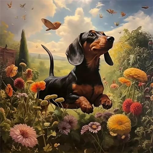 Umfarvt 5D Dachshund Diamond Painting Kits for Adults Kids,DIY Round Full Drill Diamond Art Painting Kits,Canvas Embroidery diamond art Craft for Home Wall Decor 20x20cm von Umfarvt