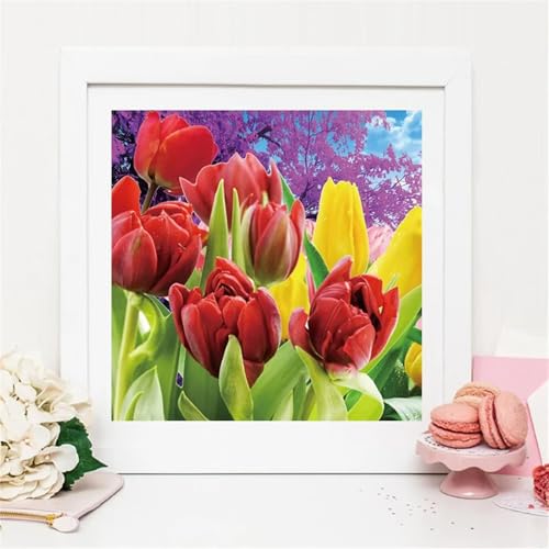 Umfarvt 5D Red Tulips Diamond Painting Kits for Adults Kids,DIY Square Full Drill Diamond Art Painting Kits,Canvas Embroidery diamond art Craft for Home Wall Decor 30x30cm von Umfarvt