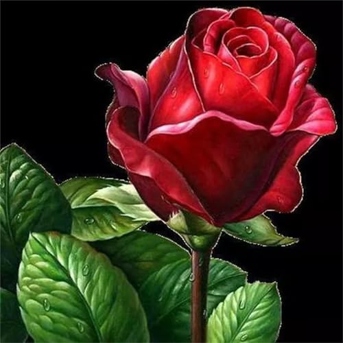 Umfarvt 5D Rose Plant Diamond Painting Kits for Adults Kids,DIY Square Full Drill Diamond Art Painting Kits,Canvas Embroidery diamond art Craft for Home Wall Decor 60x60cm von Umfarvt