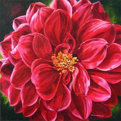 Umfarvt 5D Rote Blume Diamond Painting Erwachsene,Diamond Painting Bilder für Anfänger,DIY Round Drill Voller Kristall Strass Kreuzstich Malen Nach Zahlen Kits für Zuhause Dekor 30x30cm von Umfarvt