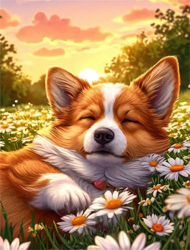Umfarvt Diamond Painting Daisy Präriehündin Set für Erwachsene DIY Round Strass 60x80cm,5D diamond painting bilder Diamant Kunst Malerei Stickerei Kreuzstich Set,Wohnzimmer Wanddeko Umfarvt Diamond Painting Daisy Präriehündin Set für Erwachsene DIY Round Strass 60x80cm,5D diamond painting bilder Diamant Kunst Malerei Stickerei Kreuzstich Set,Wohnzimmer Wanddeko von Umfarvt