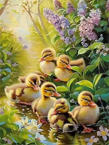 Umfarvt Diamond Painting Entenwälder Set für Erwachsene DIY Square Strass 40x50cm,5D diamond painting bilder Diamant Kunst Malerei Stickerei Kreuzstich Set,Wohnzimmer Wanddeko von Umfarvt