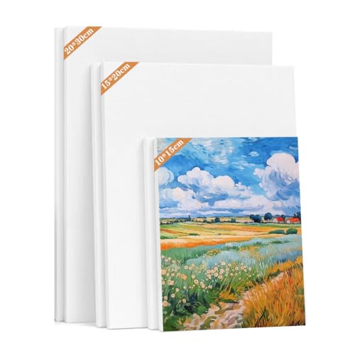 Umllpet Leinwand zum Bemalen 6 Stück, Keilrahmen Set Leer Canvas Painting 30x20, 20x15, 15x10 cm, Leinwand zum Bemalen Set, Keilrahmen Set, Leinwände zum Malen aus Baumwolle für Alle Farbarten von Umllpet