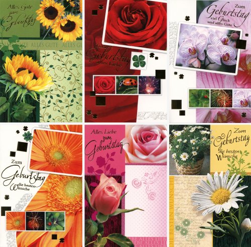 50 Geburtstagskarten Klappkarten mit 50 Umschlägen 6 Motive Grußkarten Glückwunschkarten Blumen 51-6340 von Unbekannt