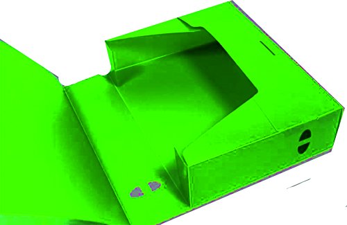 Archivbox Plaste A4 Mappe Sammelmappe Ablagebox Archivboxen 40mm grün (1 Stück) von Unbekannt