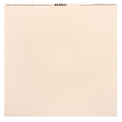 Bazzill Speckle Cardstock 12"X12"-White Sands von American Crafts