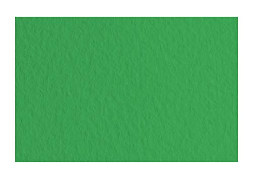 Honsell 21297112 - Fabriano Tiziano Pastellpapier Prato, DIN A4, 50 Blatt, 160 g/m², hoch hadernhaltig, säurefrei und alterungsbeständig, griffige, raue Oberfläche von Fabriano