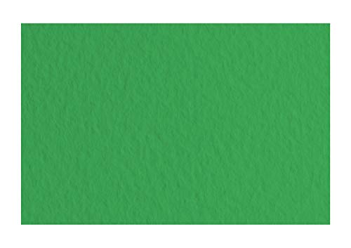Honsell 21297112 - Fabriano Tiziano Pastellpapier Prato, DIN A4, 50 Blatt, 160 g/m², hoch hadernhaltig, säurefrei und alterungsbeständig, griffige, raue Oberfläche Honsell 21297112 - Fabriano Tiziano Pastellpapier Prato, DIN A4, 50 Blatt, 160 g/m², hoch hadernhaltig, säurefrei und alterungsbeständig, griffige, raue Oberfläche von Fabriano