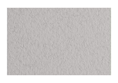 Honsell 21297129 - Fabriano Tiziano Pastellpapier Nebbia, DIN A4, 50 Blatt, 160 g/m², hoch hadernhaltig, säurefrei und alterungsbeständig, griffige, raue Oberfläche Honsell 21297129 - Fabriano Tiziano Pastellpapier Nebbia, DIN A4, 50 Blatt, 160 g/m², hoch hadernhaltig, säurefrei und alterungsbeständig, griffige, raue Oberfläche von Fabriano
