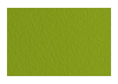 Honsell 21297143 - Fabriano Tiziano Pastellpapier Pistacchio, DIN A4, 50 Blatt, 160 g/m², hoch hadernhaltig, säurefrei und alterungsbeständig, griffige, raue Oberfläche Honsell 21297143 - Fabriano Tiziano Pastellpapier Pistacchio, DIN A4, 50 Blatt, 160 g/m², hoch hadernhaltig, säurefrei und alterungsbeständig, griffige, raue Oberfläche von Fabriano
