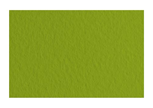 Honsell 21297143 - Fabriano Tiziano Pastellpapier Pistacchio, DIN A4, 50 Blatt, 160 g/m², hoch hadernhaltig, säurefrei und alterungsbeständig, griffige, raue Oberfläche von Fabriano