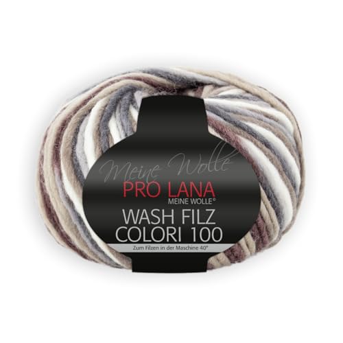 PRO LANA Wash-Filz Colori 100 - Farbe: Beige/Braun (707) - 100 g/ca. 100 m Wolle von Unbekannt