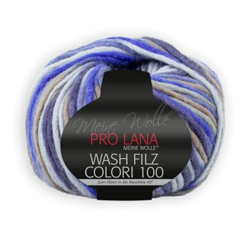 PRO LANA Wash-Filz Colori 100 - Farbe: Blau/Braun (701) - 100 g/ca. 100 m Wolle von Unbekannt