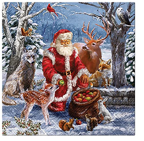 Papierservietten mit Weihnachtsmotiv, 33 x 33 cm, 20 Stück von Unbekannt