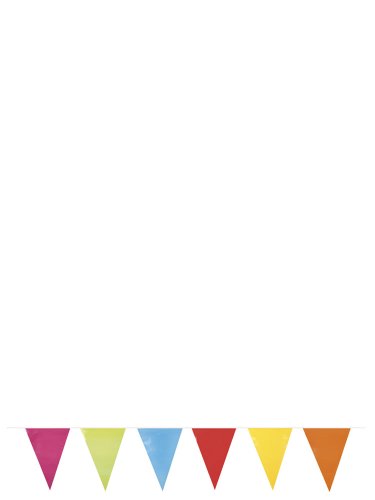 Rainbow Multi Flag Bunting, 10 metres (32.8ft) by Pams von Unbekannt