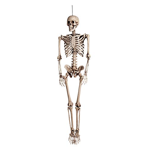 Skelett Normalgröße 160 Cm Klappbar Suspendierend Wunderschön Qualität (74515) von Boland