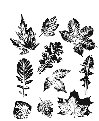 Tim Holtz Haftstempel 17,8 x 22,7 cm, Blattmuster 2 Tim Holtz Haftstempel 17,8 x 22,7 cm, Blattmuster 2 von Stampers Anonymous