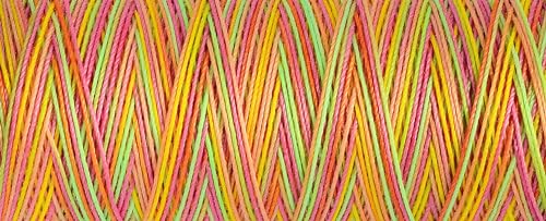 Unbekannt G702161-9873 Nähgarn, Polyester, Orange 9873, 70 m, Meter Unbekannt G702161-9873 Nähgarn, Polyester, Orange 9873, 70 m, Meter von Unbekannt