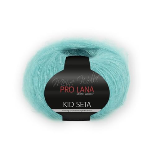 Unbekannt PRO Lana Kid Seta - Farbe: 67-25 g/ca. 210 m Wolle von Unbekannt