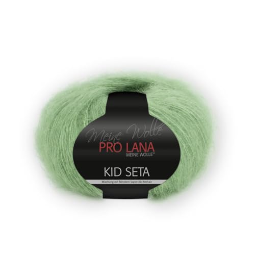 Unbekannt PRO Lana Kid Seta - Farbe: 77-25 g/ca. 210 m Wolle von Unbekannt