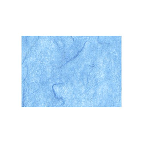 Unbekannt Strohseide, 25g/m², 10 Bg., hellblau von Unbekannt