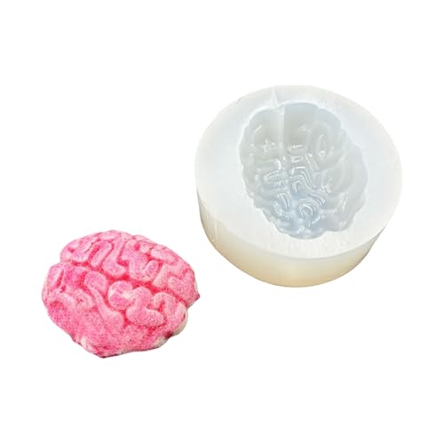 Realistische Gehirne/Organ Silikonform Für Mediziner Bildung Kunsthandwerk Professionelles Handgefertigtes Schmuck Die Schimmelpilze Simulation Silikonform Machen Realistische Gehirne/Organ Silikonform Für Mediziner Bildung Kunsthandwerk Professionelles Handgefertigtes Schmuck Die Schimmelpilze Simulation Silikonform Machen von UncleS