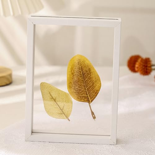 Unikicool Doppelglas-Bilderrahmen,Doppelseitiger Bilderrahmen aus Acryl Glas,Transparenter Bilderrahmen,Holz Doppelseitig Rahmen,Poster-Display-Fotorahmen,FüR PräParate,Fotos,Kunstwerke,Poster Unikicool Doppelglas-Bilderrahmen,Doppelseitiger Bilderrahmen aus Acryl Glas,Transparenter Bilderrahmen,Holz Doppelseitig Rahmen,Poster-Display-Fotorahmen,FüR PräParate,Fotos,Kunstwerke,Poster von Unikicool