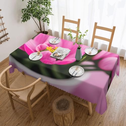 Unkhtt Wasserdichte rechteckige Tischdecke mit Aufdruck "Spring is in the Air", wiederverwendbar, für Esszimmer, Hochzeit, Party, 137 x 183 cm Unkhtt Wasserdichte rechteckige Tischdecke mit Aufdruck "Spring is in the Air", wiederverwendbar, für Esszimmer, Hochzeit, Party, 137 x 183 cm von Unkhtt