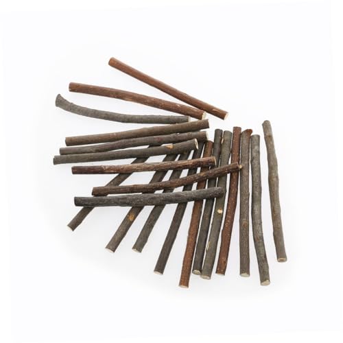 20 Stück Lange Holzstangen mit Durchmesser für DIY Bastelarbeiten und Fotodekorationen Naturholzfarbe für Projekte 20 Stück Lange Holzstangen mit Durchmesser für DIY Bastelarbeiten und Fotodekorationen Naturholzfarbe für Projekte von Uonlytech