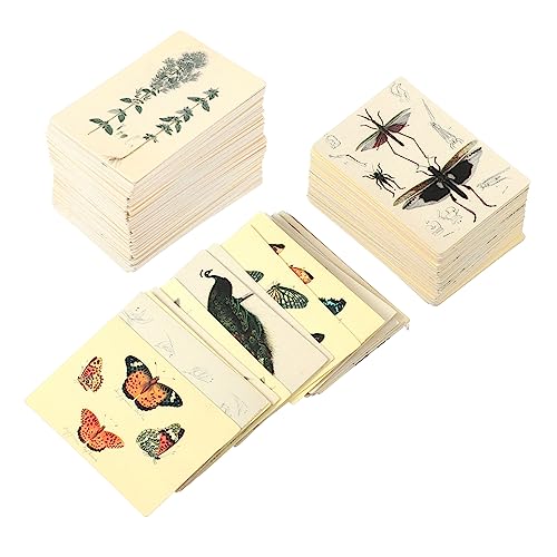 Uonlytech 2 Packungen Material für Taschencollagen botanisch Sammelalbum liefert Collage-Material-Memo Scrapbook-Materialien Retro-Memo Handbuch Aufkleber kleines Sammelbuch Weißer Karton Uonlytech 2 Packungen Material für Taschencollagen botanisch Sammelalbum liefert Collage-Material-Memo Scrapbook-Materialien Retro-Memo Handbuch Aufkleber kleines Sammelbuch Weißer Karton von Uonlytech