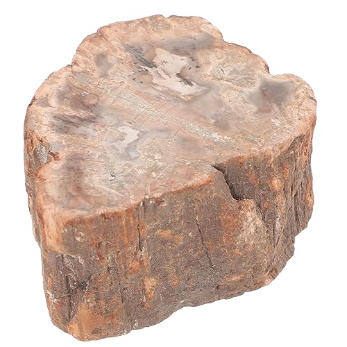 Uonlytech Dekor Versteinertes Holz Probe Scheibe Unregelmäßig Mineral Handwerk Natürlich Unregelmäßiger Stein Mehrzweck-Holzspäne von Uonlytech