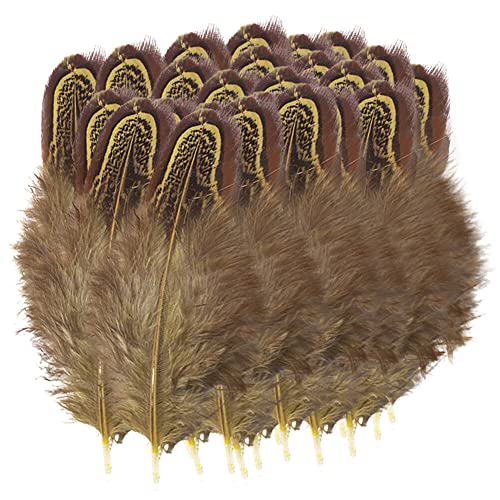 Uposao 100 Stück Fasan Federn, 5-8cm Natürliche Hühnerfeder Türkei Feder zum Basteln Dekorationen für Kostüm,Taschen,Ohrringe Dekoration,DIY Dream Catcher,Hochzeitsfest Home Party Dekoration,Gelb Uposao 100 Stück Fasan Federn, 5-8cm Natürliche Hühnerfeder Türkei Feder zum Basteln Dekorationen für Kostüm,Taschen,Ohrringe Dekoration,DIY Dream Catcher,Hochzeitsfest Home Party Dekoration,Gelb von Uposao