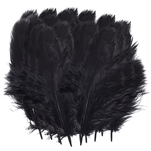 Uposao 100 Stück Fasan Federn, 5-8cm Natürliche Hühnerfeder Türkei Feder zum Basteln Dekorationen für Kostüm,Taschen,Ohrringe Dekoration,DIY Dream Catcher,Hochzeitsfest Home Party Dekoration,Schwarz Uposao 100 Stück Fasan Federn, 5-8cm Natürliche Hühnerfeder Türkei Feder zum Basteln Dekorationen für Kostüm,Taschen,Ohrringe Dekoration,DIY Dream Catcher,Hochzeitsfest Home Party Dekoration,Schwarz von Uposao