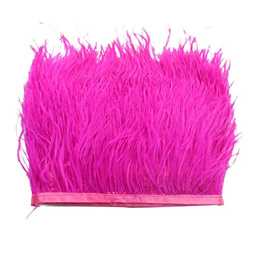 2M Türkei Federn Fringe Trim,Fransen mit Satinband Natürlichen Feder Fransen für Kleid Nähen Handwerk Kostüme Dekoration DIY Deko Federn basteln,Zuhause Dekor,Halloween Federband Bastelzubehör,Rose 2M Türkei Federn Fringe Trim,Fransen mit Satinband Natürlichen Feder Fransen für Kleid Nähen Handwerk Kostüme Dekoration DIY Deko Federn basteln,Zuhause Dekor,Halloween Federband Bastelzubehör,Rose von Uposao
