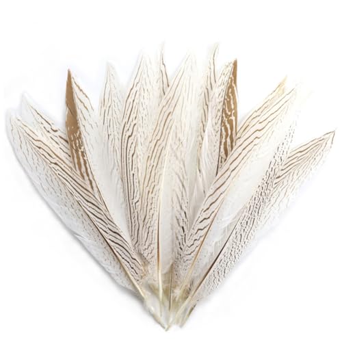Uposao 10 Stück Fasan Federn, 10-15cm Naturfedern Federn Hühnerfeder DIY Deko Federn zum Basteln für Traumfänger Hochzeit Geburtstag Party Masken Hüte Tanzkleidung Halloween Dekoration Uposao 10 Stück Fasan Federn, 10-15cm Naturfedern Federn Hühnerfeder DIY Deko Federn zum Basteln für Traumfänger Hochzeit Geburtstag Party Masken Hüte Tanzkleidung Halloween Dekoration von Uposao