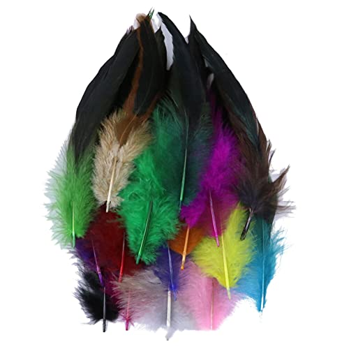Uposao 100 Stück Fasan Federn, 14-20cm Natürliche Hühnerfeder Türkei Feder zum Basteln Dekorationen für Kostüm,Taschen,Ohrringe Dekoration,DIY Dream Catcher,Hochzeitsfest Home Party Dekoration,Bunt Uposao 100 Stück Fasan Federn, 14-20cm Natürliche Hühnerfeder Türkei Feder zum Basteln Dekorationen für Kostüm,Taschen,Ohrringe Dekoration,DIY Dream Catcher,Hochzeitsfest Home Party Dekoration,Bunt von Uposao