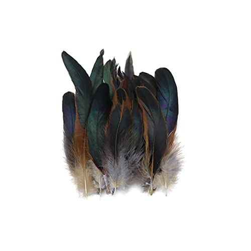 100 Stück Fasan Federn, 14-20cm Natürliche Hühnerfeder Türkei Feder zum Basteln Dekorationen für Kostüm,Taschen,Ohrringe Dekoration,DIY Dream Catcher,Hochzeitsfest Home Party Dekoration,Blau 100 Stück Fasan Federn, 14-20cm Natürliche Hühnerfeder Türkei Feder zum Basteln Dekorationen für Kostüm,Taschen,Ohrringe Dekoration,DIY Dream Catcher,Hochzeitsfest Home Party Dekoration,Blau von Uposao