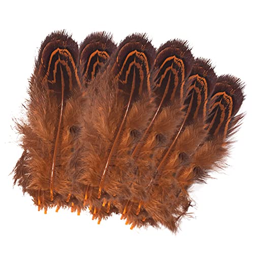 Uposao 100 Stück Fasan Federn, 5-8cm Natürliche Hühnerfeder Türkei Feder zum Basteln Dekorationen für Kostüm,Taschen,Ohrringe Dekoration,DIY Dream Catcher,Hochzeitsfest Home Party Dekoration,Orange Uposao 100 Stück Fasan Federn, 5-8cm Natürliche Hühnerfeder Türkei Feder zum Basteln Dekorationen für Kostüm,Taschen,Ohrringe Dekoration,DIY Dream Catcher,Hochzeitsfest Home Party Dekoration,Orange von Uposao